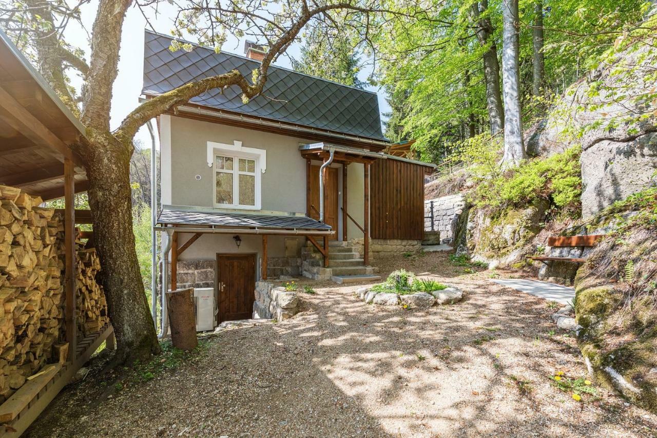 Baracek Villa Janov nad Nisou Dış mekan fotoğraf